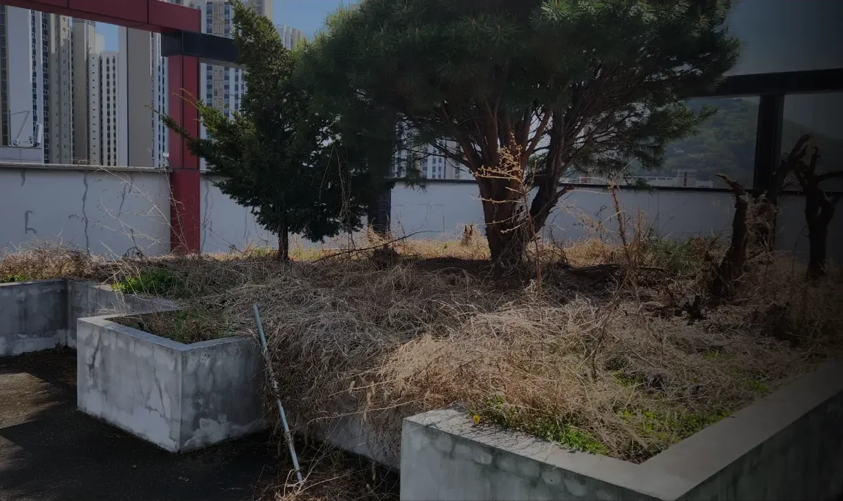 남양주 별내3로 334 다우프라자 옥상 — 시공 전